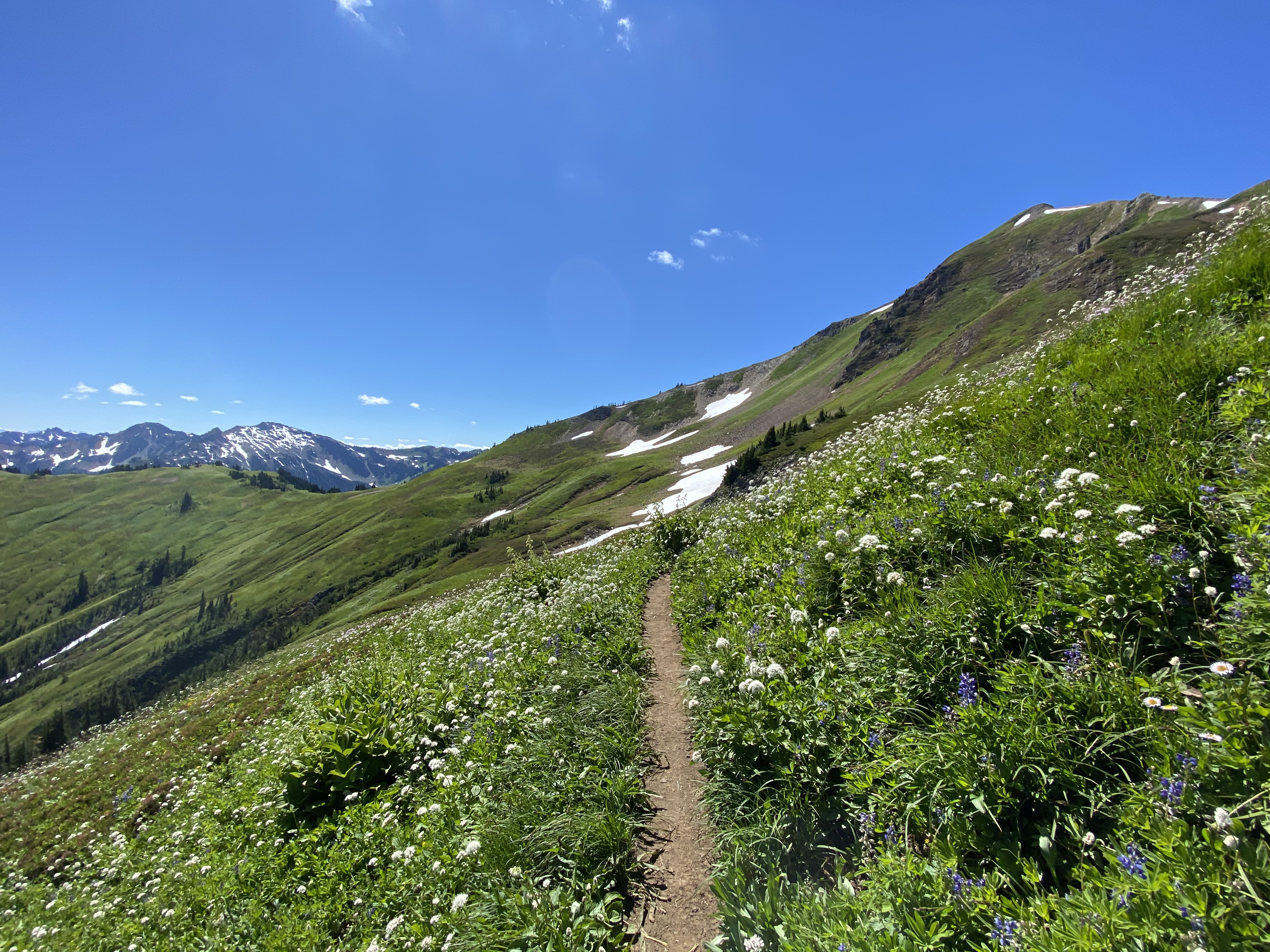 The trail leading back to North Fork Sauk trailhead.