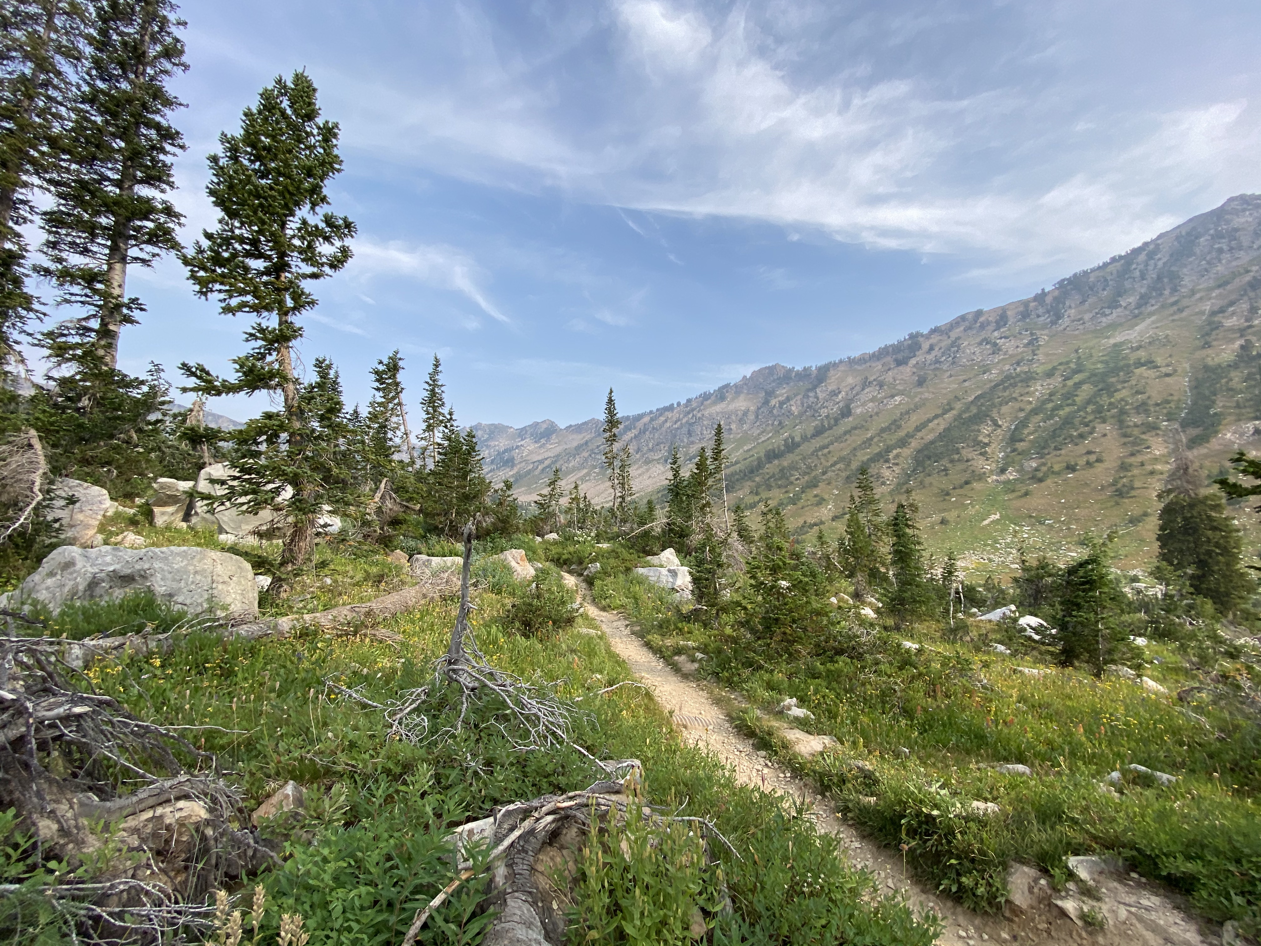 A view of the Lake Solitude Trail.