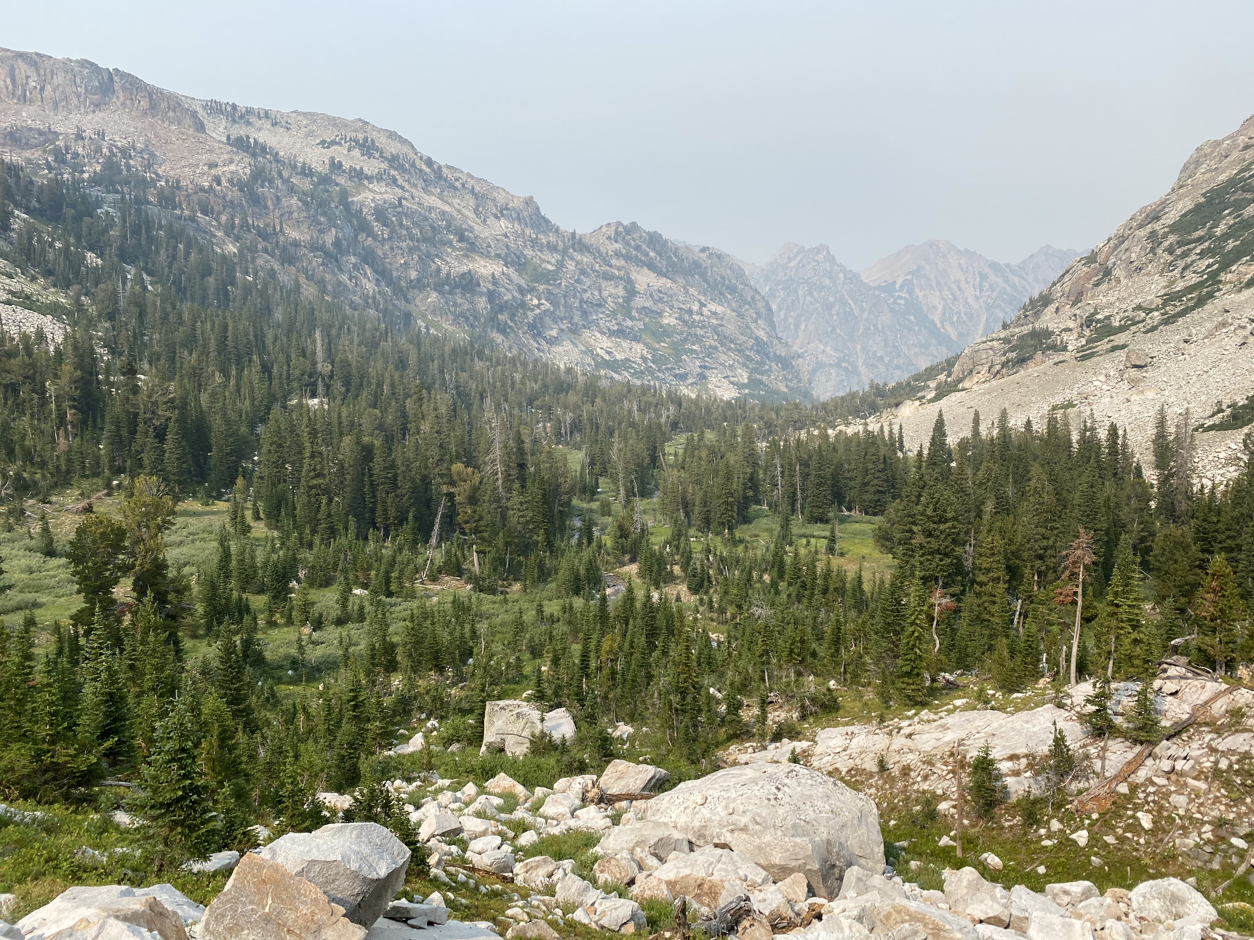 A view of South Fork Cascade Canyon.